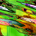 avatar for zoy@millefeuilles.cloud