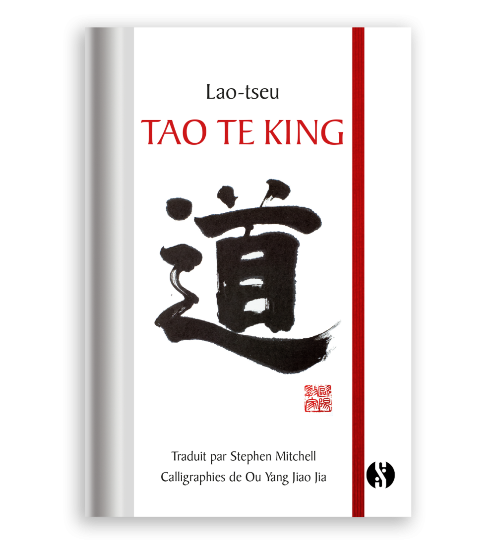 老子: Tao Te King (Paperback, French language, Editions Synchronique)