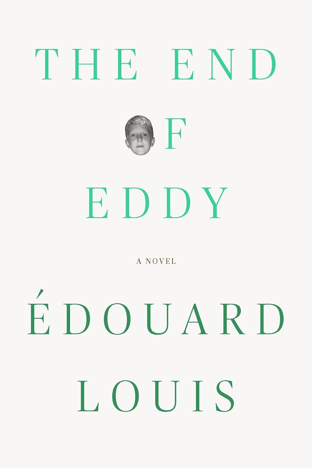 Édouard Louis, Michael Lucey, translator: The End of Eddy (Hardcover, 2017, Farrar, Straus and Giroux)
