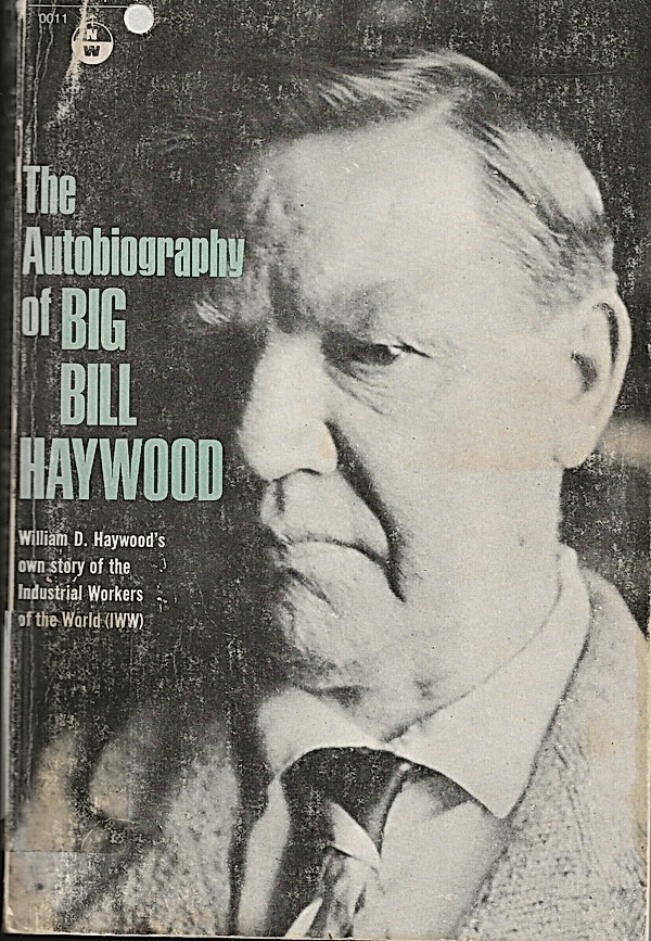 Big Bill Haywood: Bill Haywood's book (Paperback, 1977, USA : Internation Publishers Company)