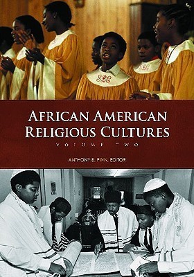 Anthony B. Pinn, Terry Test, Barbara Patterson: African American religious culture (Hardcover, 2009, ABC-CLIO)