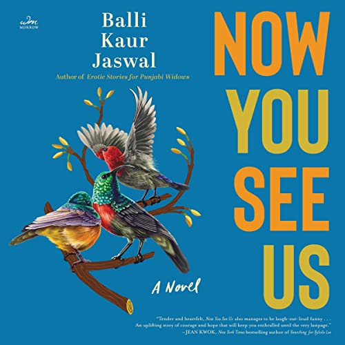 Balli Kaur Jaswal, Angela Lin: Now You See Us (AudiobookFormat, 2023)