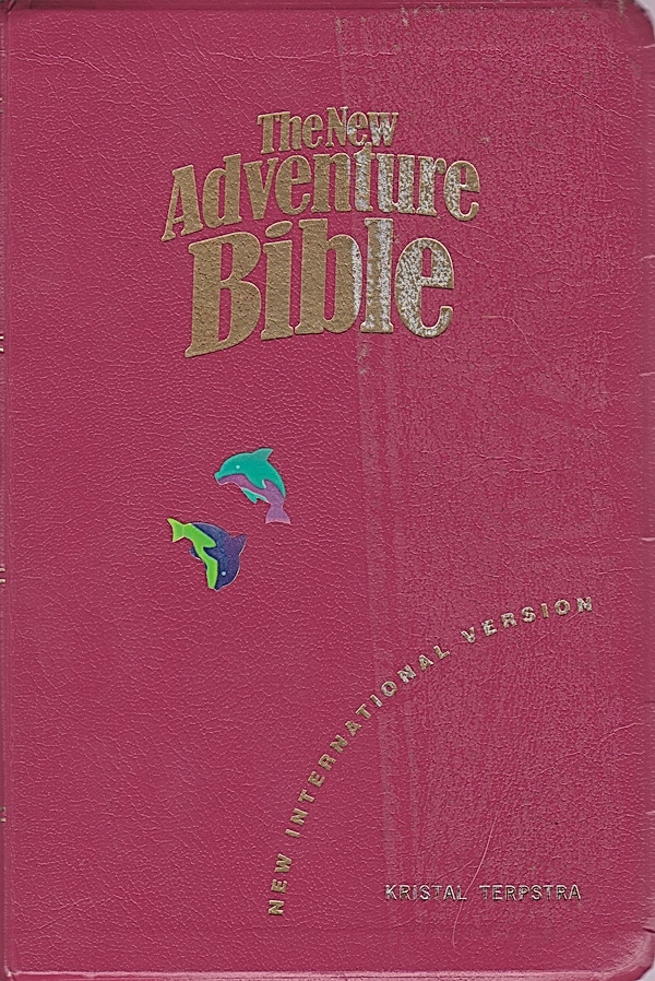 Bible: The new adventure Bible (Hardcover, 1994, Zondervan)
